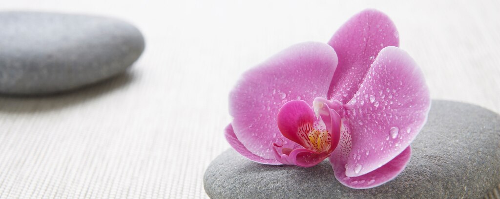 Marriott 商务酒店提供豪华水疗中心，带来一流的水疗酒店体验